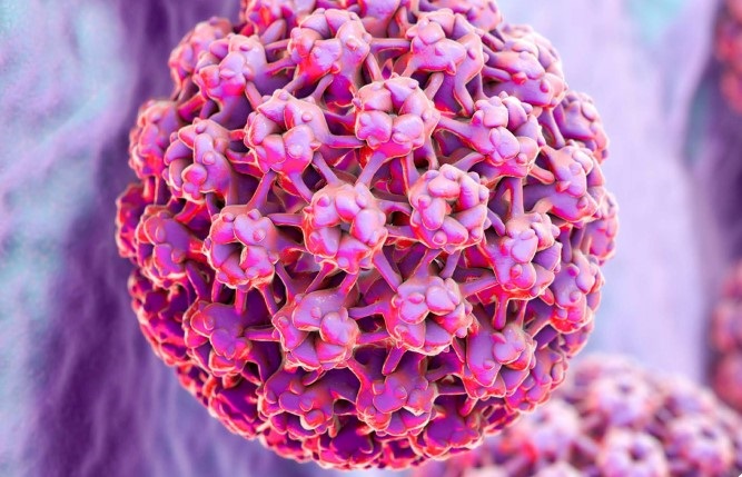 Revista Bioreview: nuevo número