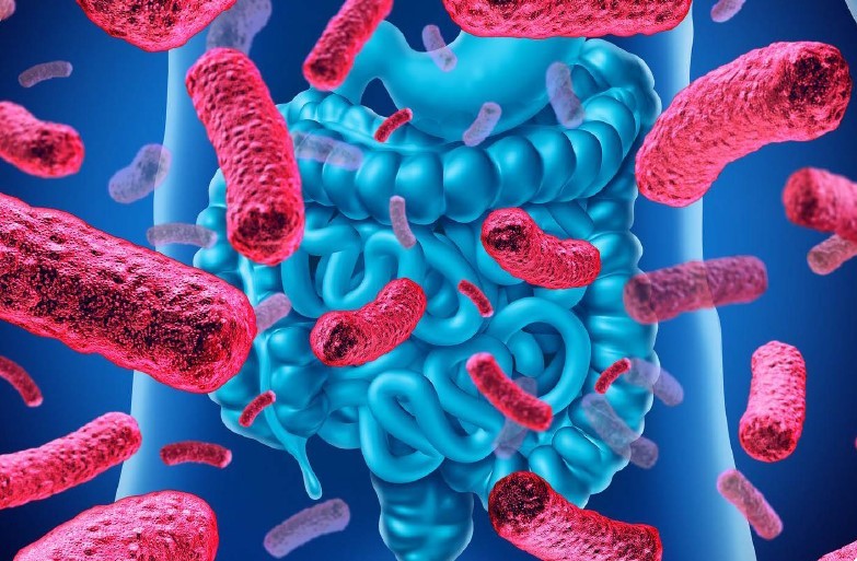 Revista Bioreview: nuevo número