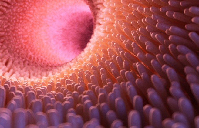 Revista Bioreview: último número del año 