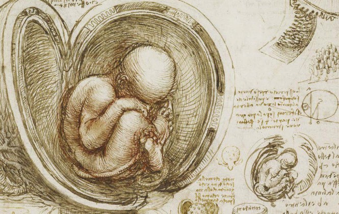 Revista Bioreview: primer número del año