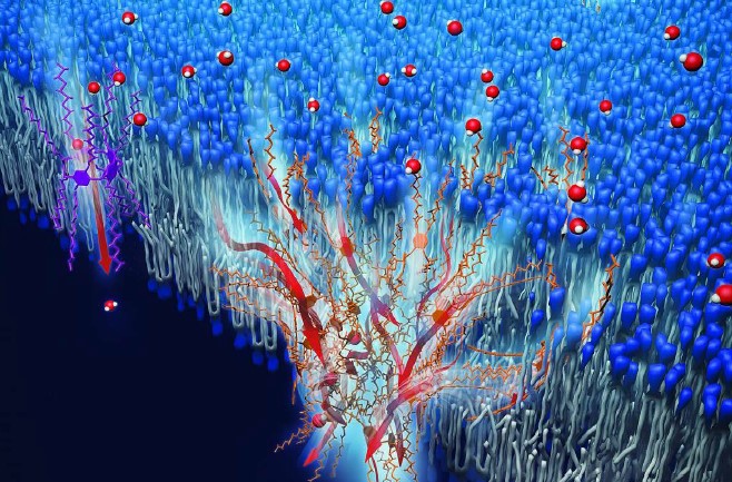 Revista Bioreview: nuevo número
