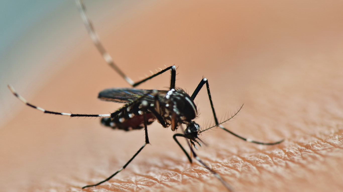 Dengue: Organización Panamericana de la Salud. Generalidades y Diagnostico de laboratorio