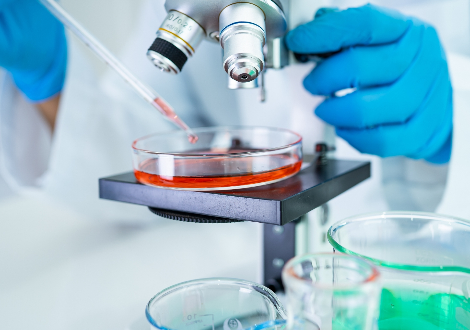Llamado 2026: Certificación y Recertificación Bioquímica